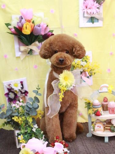 20230319まめくん